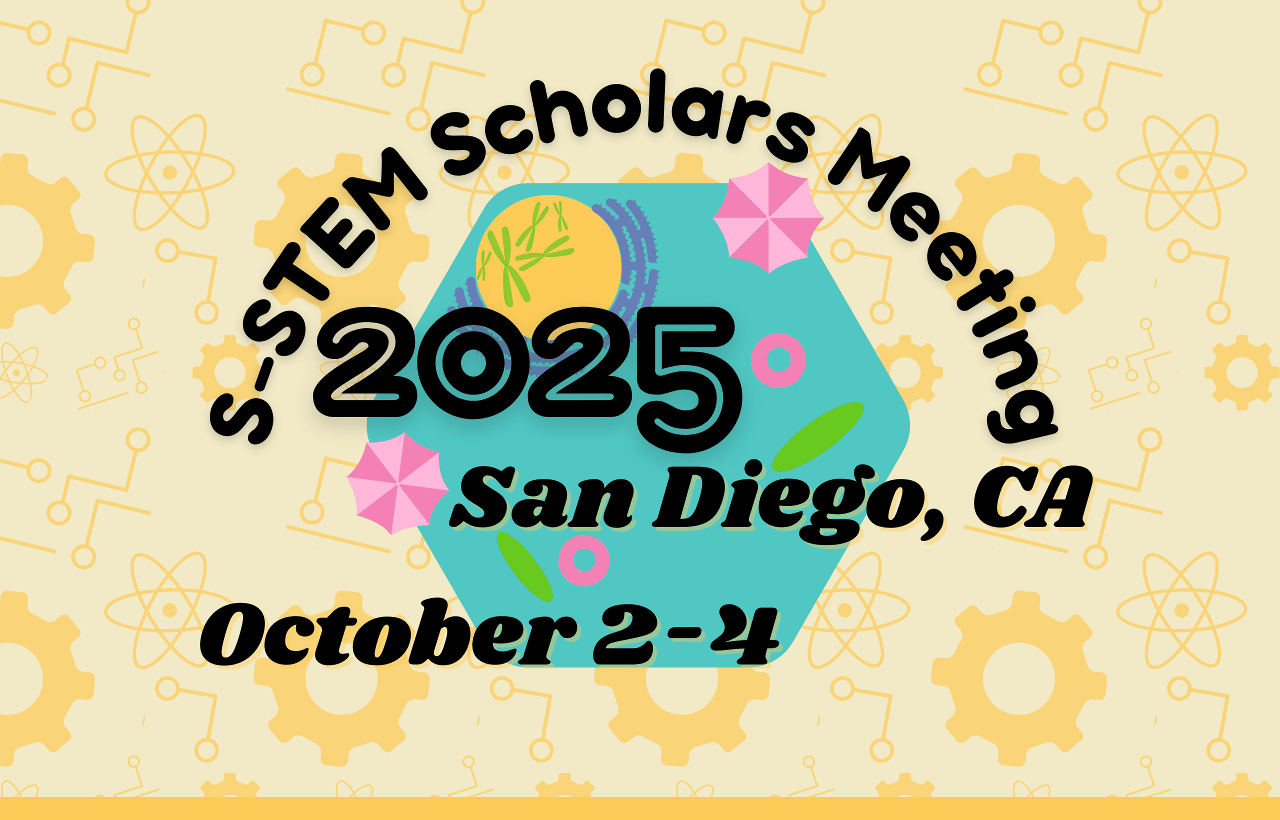 NSF SSTEM Conference